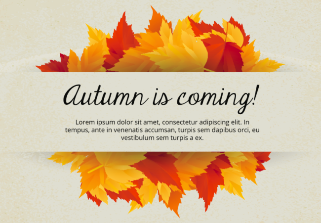 650x451 Free Thanksgiving Images And Quotes The Whole Family Can Agree