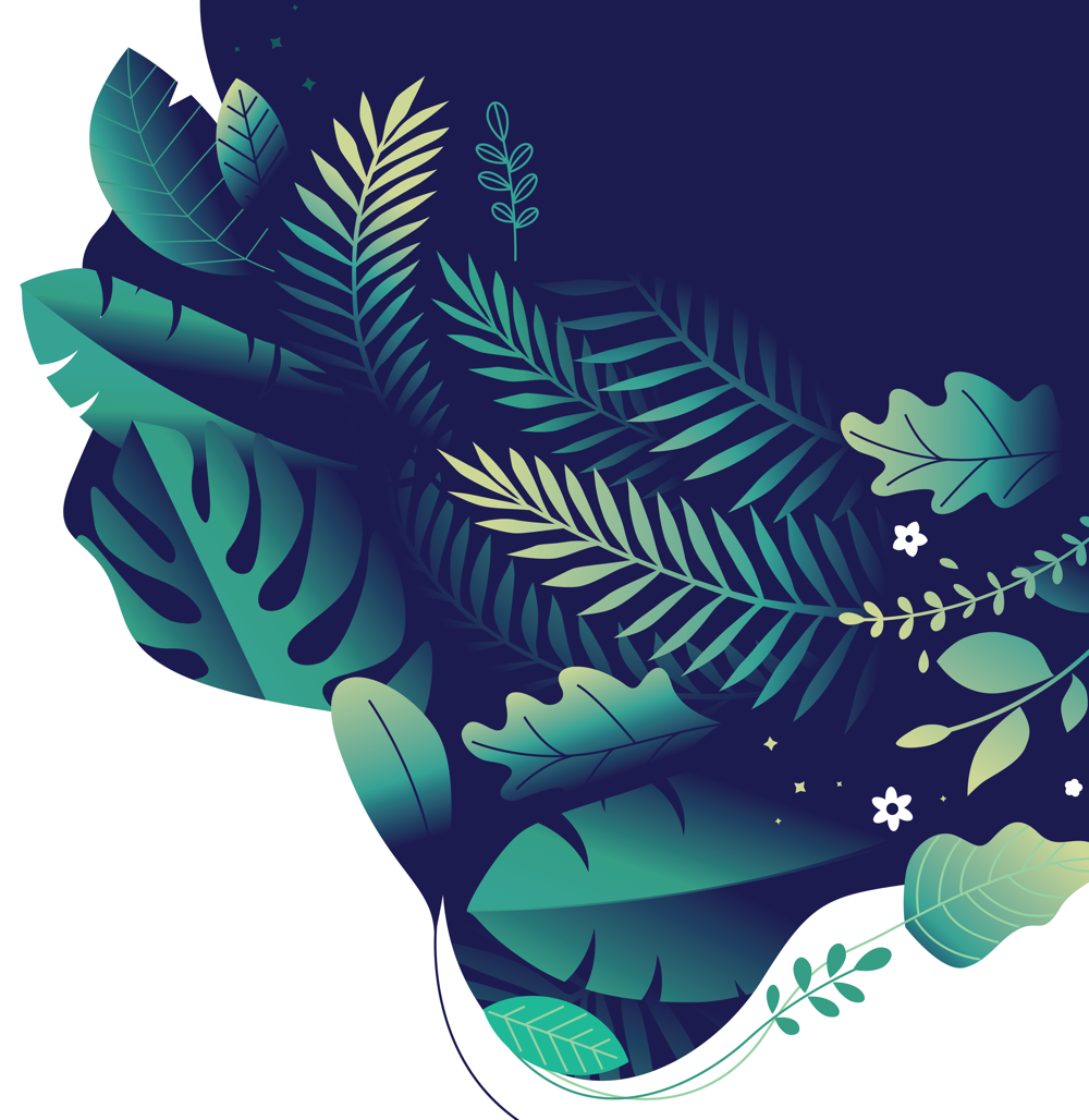 1000x1028 Sketch Mangling Illustrator Vector How To Fix