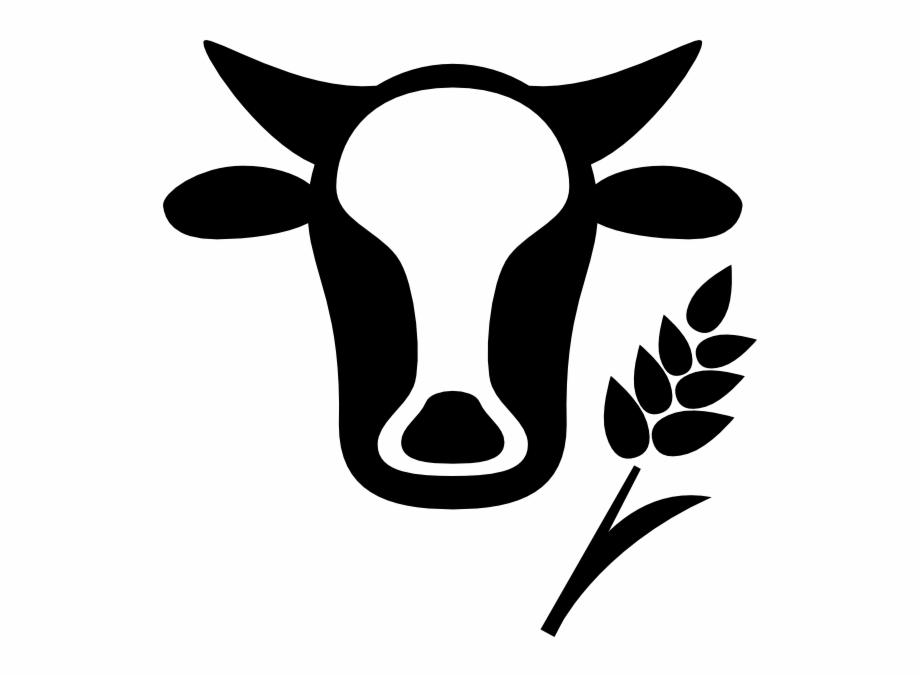 920x677 Theater Vector Unveiling