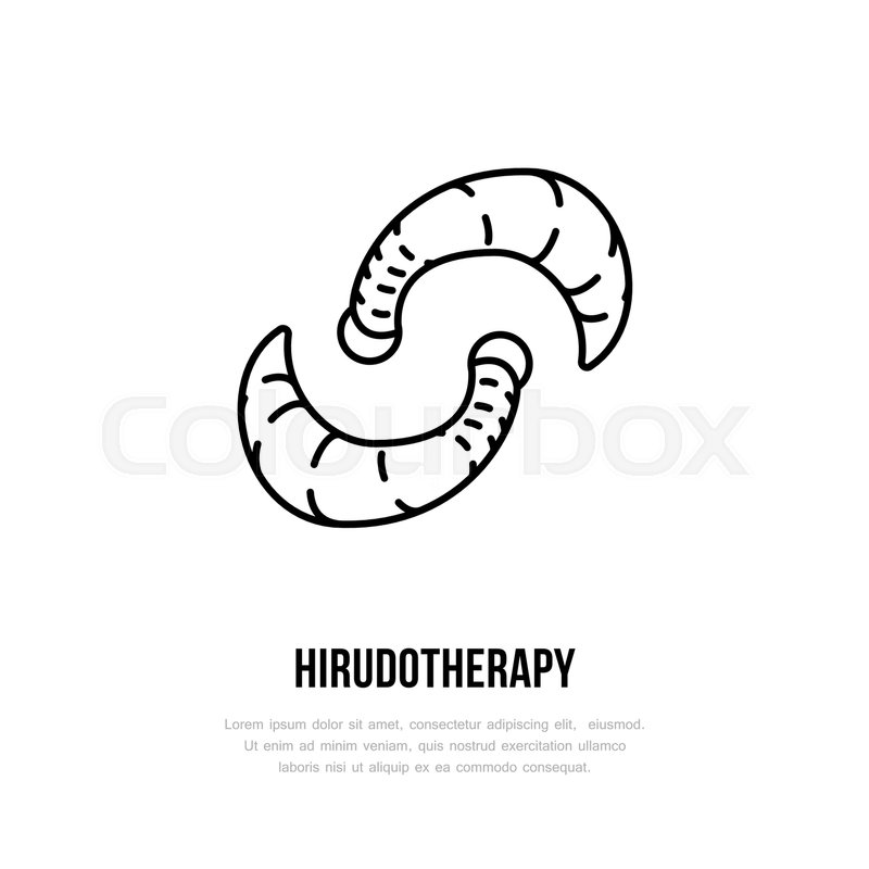 800x800 Leech Therapy Vector Line Icon Stock Vector Colourbox