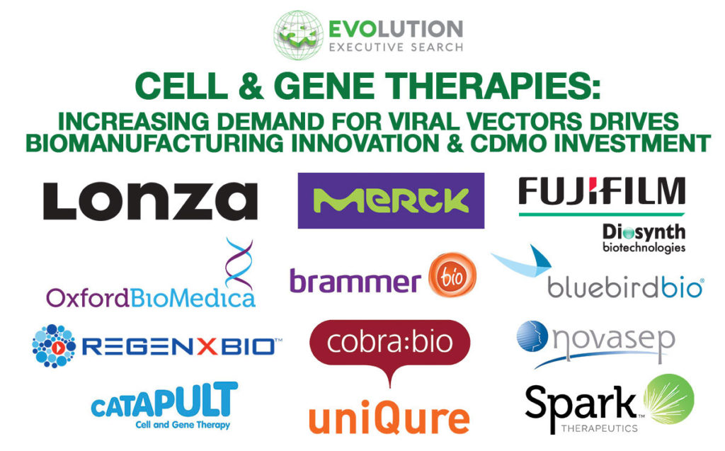 1024x637 Evolution Executive Search Cell Gene Therapy Increasing
