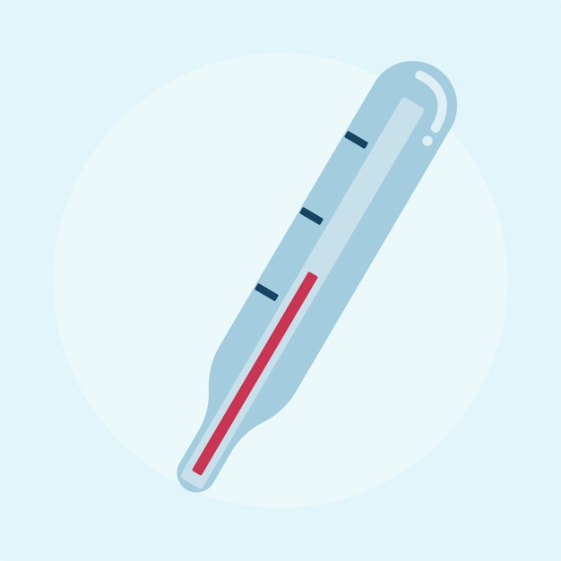 626x626 Thermometer Vectors, Photos And Free Download