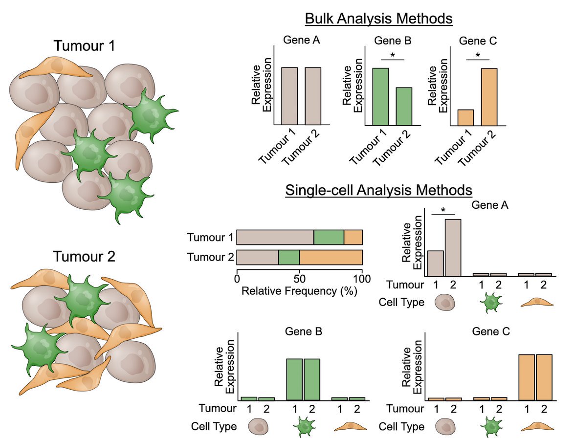 1174x898 David Cook On Twitter Before And After Making Model Figs Good
