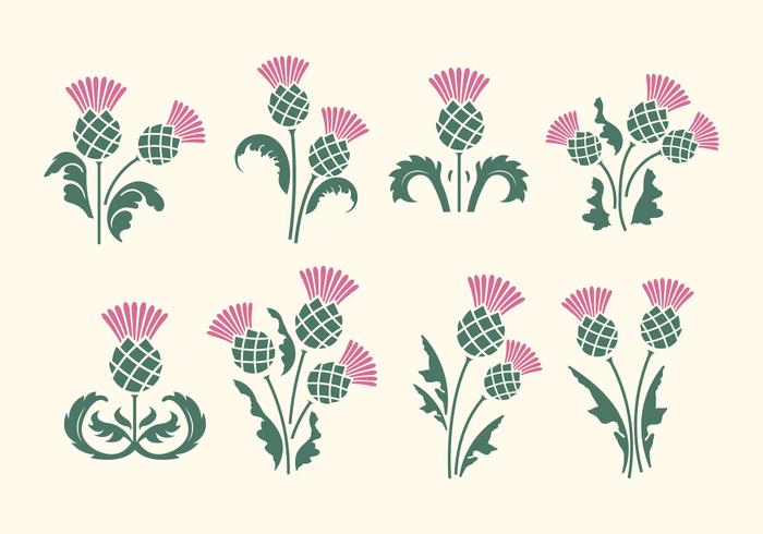 Thistle Vector