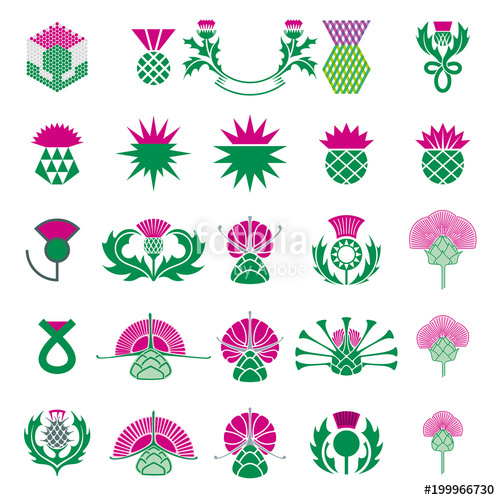 500x500 Thistle Icon Set Stock Image And Royalty Free Vector