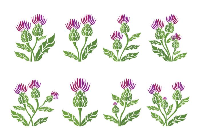 700x490 Thistle Icons