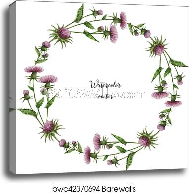 382x390 Watercolor Vector Round Frame Of Milk Thistle, Canvas Print