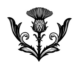 276x240 Scottish Thistle Vector Photos, Royalty Free Images, Graphics