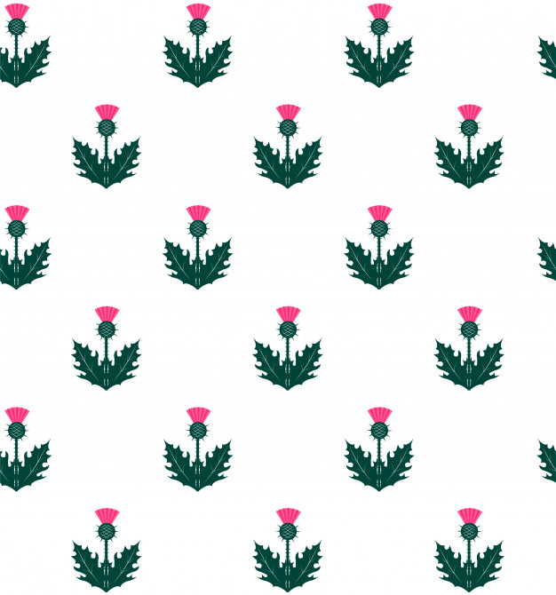 626x670 Seamless Pattern With Thistle Symbol Of Scotland Vector