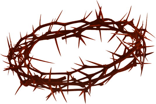 534x355 Crown Of Thorns Png Hd Transparent Crown Of Thorns Hd Images