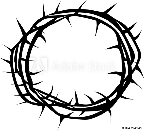 500x455 Crown Of Thorns