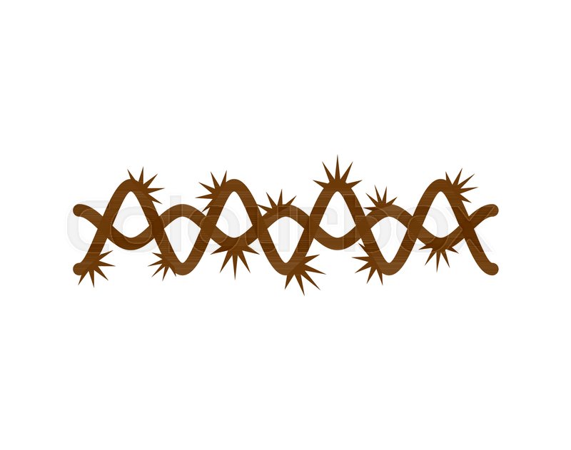 800x631 Crown Of Thorns Isolated For Jesus Stock Vector Colourbox