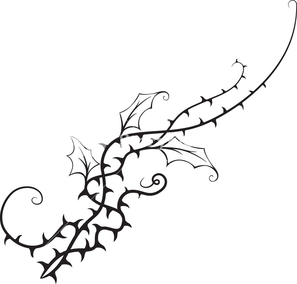 1000x954 Floral Thorn Vector Element Royalty Free Stock Image