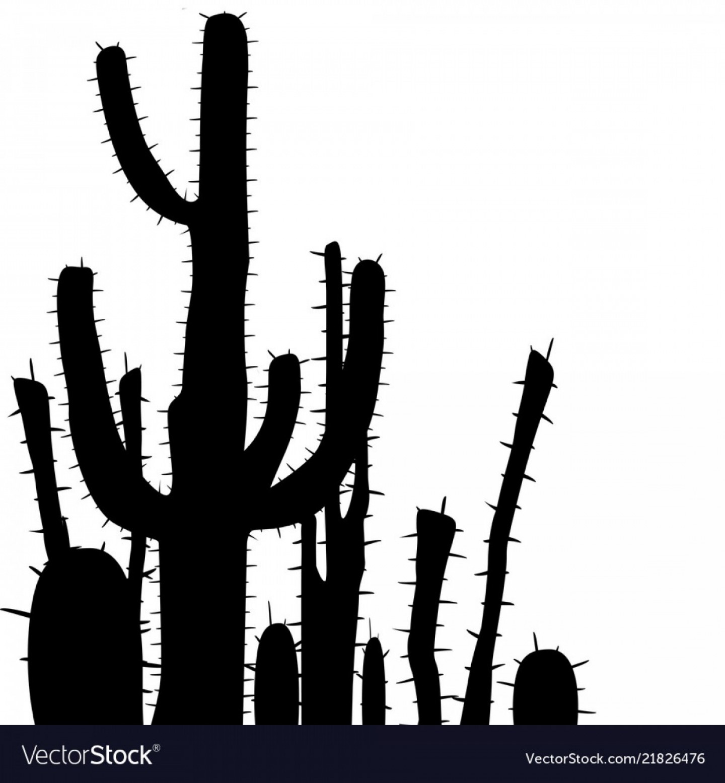 1440x1555 Cactus Thorns Vector Silhouette Hoodamathrun