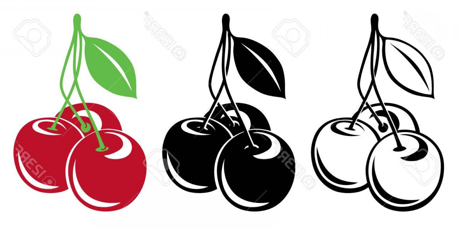 1560x780 Cherry Vector Black And White Savoyuptown