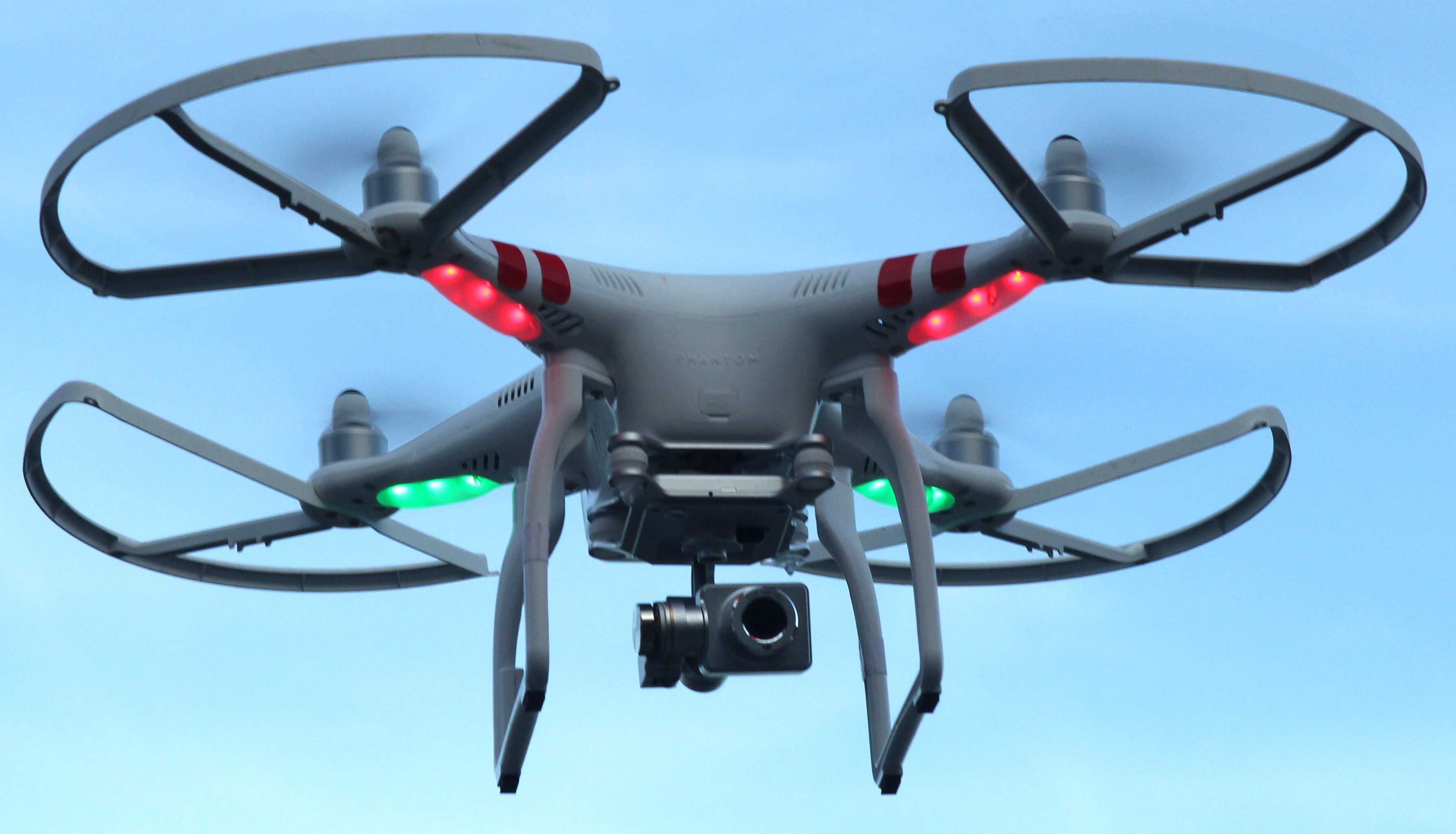 3580x2052 A Virtual Bird