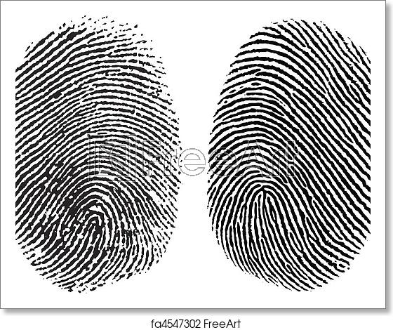 560x470 Free Art Print Of Vector Finger Prints Two Detailed Vector Thumb
