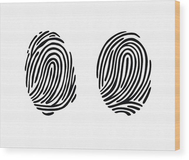 643x546 Thumb Print Fingerprint Vector Illustration Wood Print