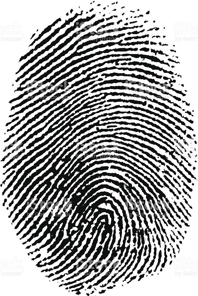 684x1024 Vector Thumb Print Photo In Thumb Prints, Art, Vector Art