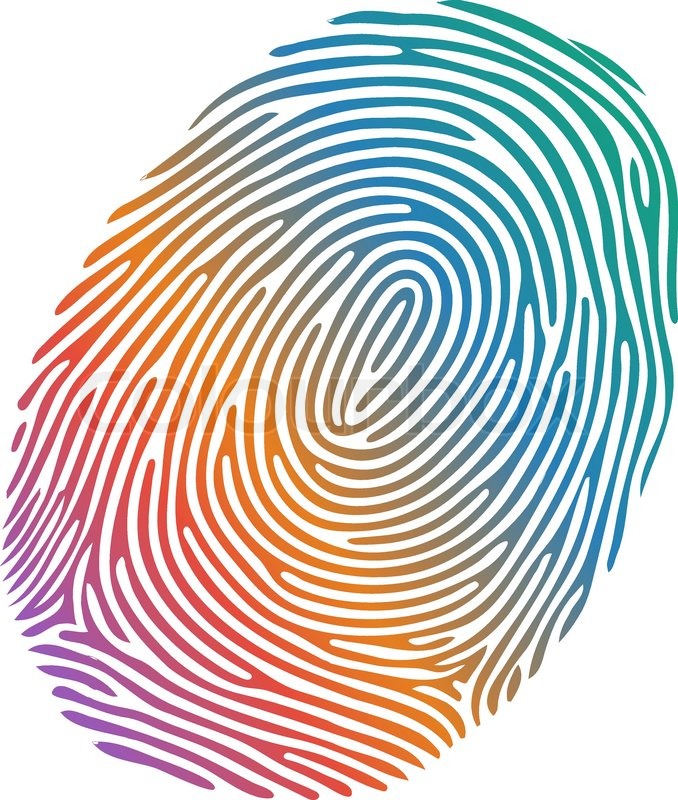 678x800 Vector Many Coloured Fingerprint On Stock Vector Colourbox