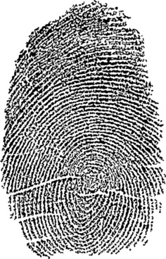 236x368 Fingerprint Free Vector Download