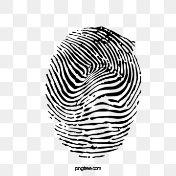 360x360 Fingerprint Png, Vector, And Clipart With Transparent