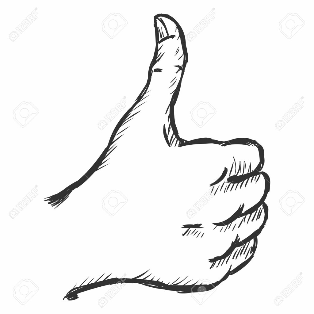 1024x1024 Vector Sketch Thumbs Up Vector Sketch Thumbs Up