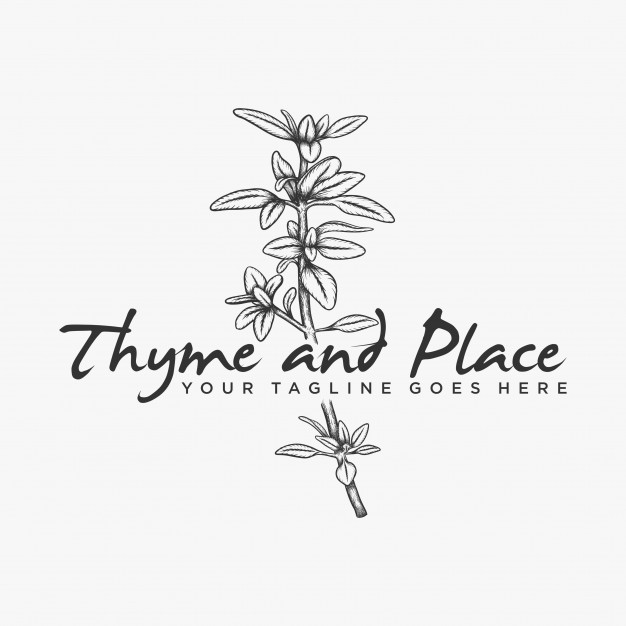 626x626 Hand Drawn Herb Thyme Logo Vector Vector Premium Download