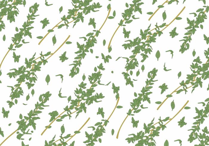 700x490 Thyme Free Vector Art