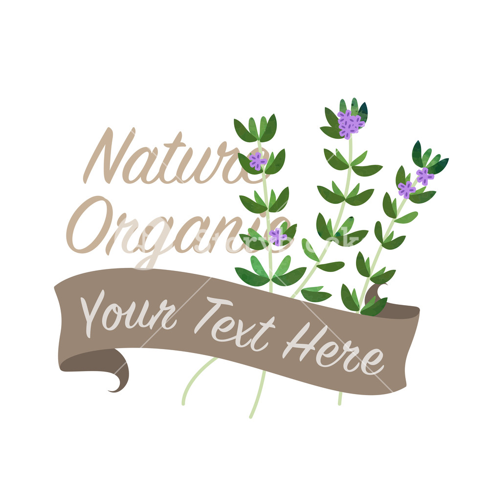 1000x998 Colorful Watercolor Texture Vector Nature Organic Vegetable Banner