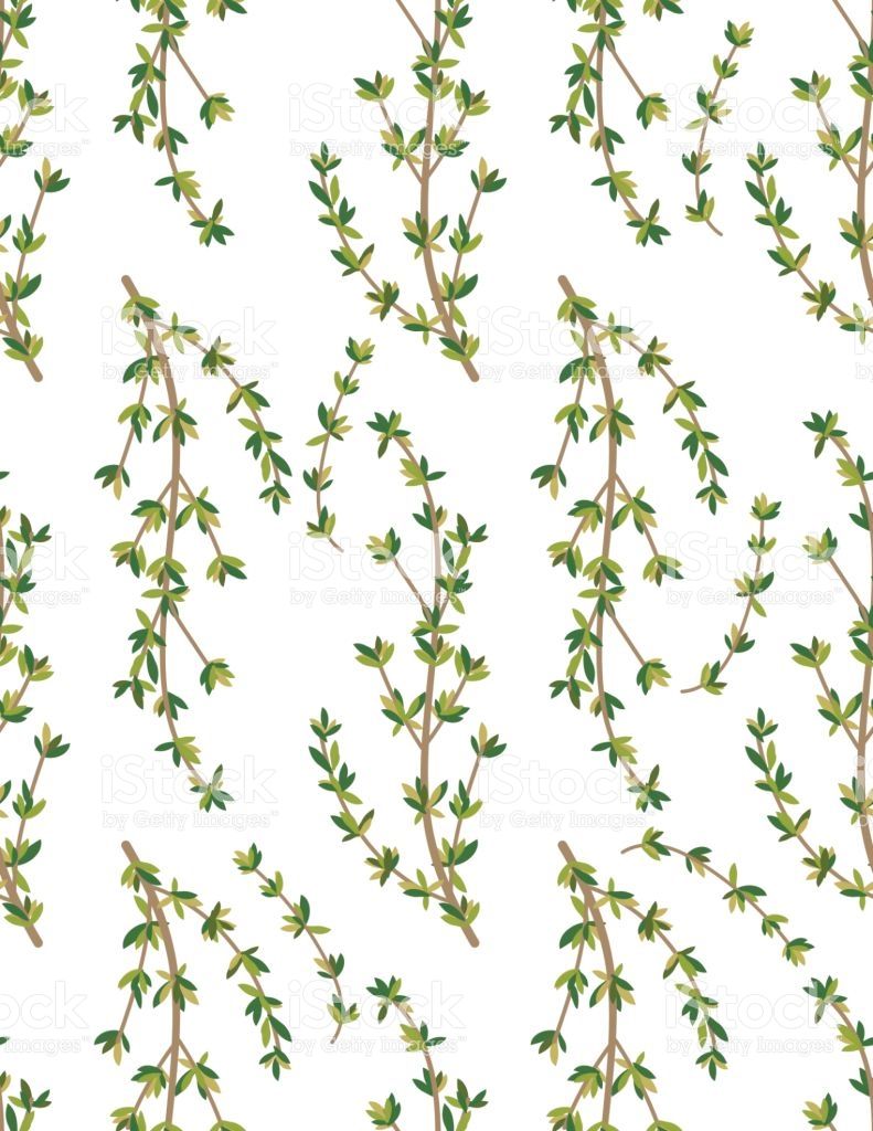 791x1024 Cooking Herbs Seamless Pattern