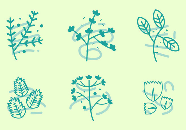 632x443 Free Thyme Vector Graphic Free Vector Download Cannypic