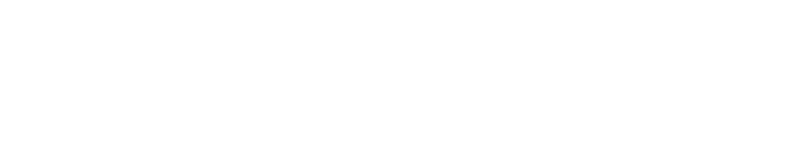 800x160 Tidal Vision