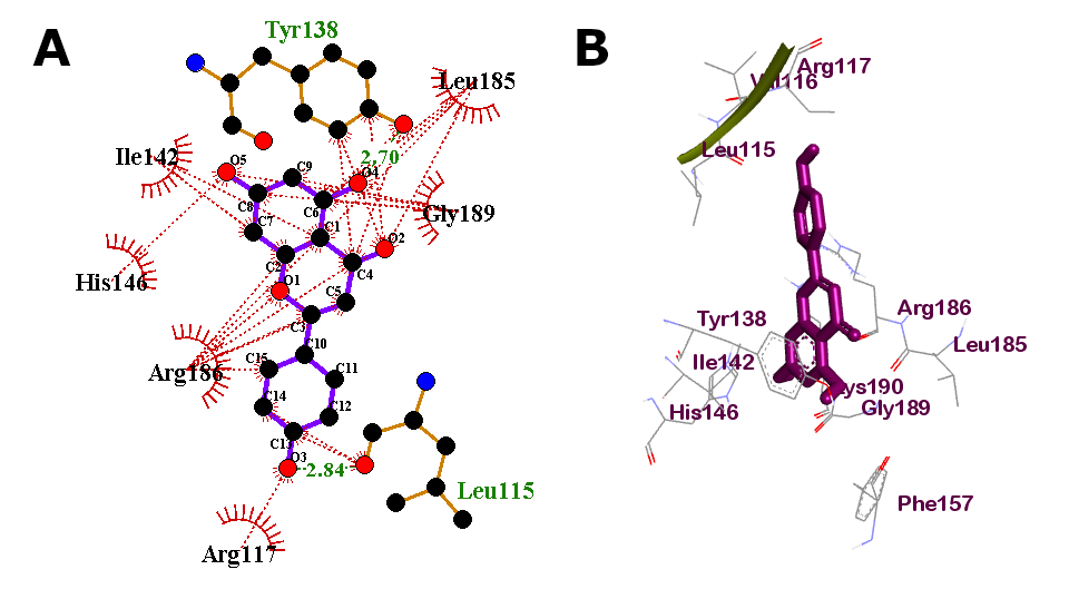 960x529 How To Convert A Tiff Image To Vector Scale Format