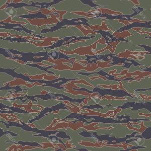 300x300 Photostock Vector South Korea Tiger Stripe Camouflage Seamless
