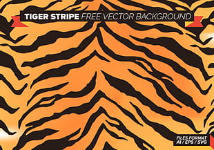 310x217 Tiger Stripe Camo Free Vector Background Free