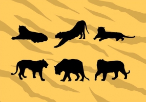 285x200 Tiger Stripe Camo Free Vector Graphic Art Free Download