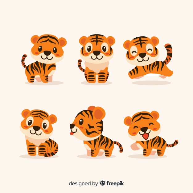 626x626 Cute Tiger Set Vector Free Download