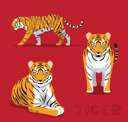 426x405 Panthera Tiger Cartoon Vector Illustration Premium Clipart