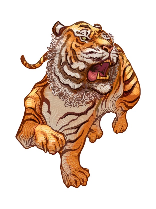 626x837 Tiger Cartoon Vectors, Photos And Free Download