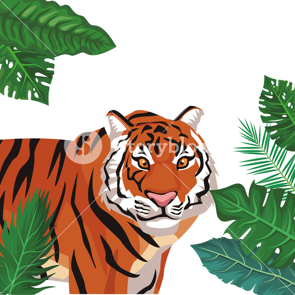 1000x1000 Wild Bengal Tiger Cartoon Vector Illustration Graphic Design