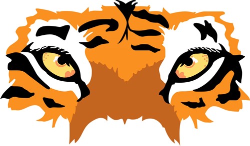 500x293 Tiger Eyes Vector And Art