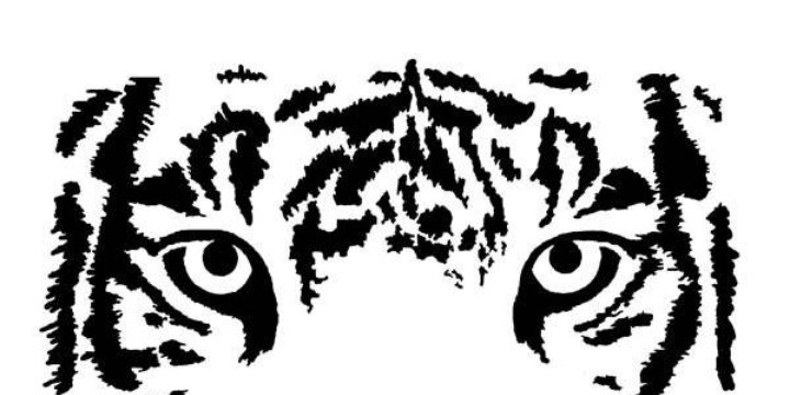 720x360 Tiger Eyes Black And White