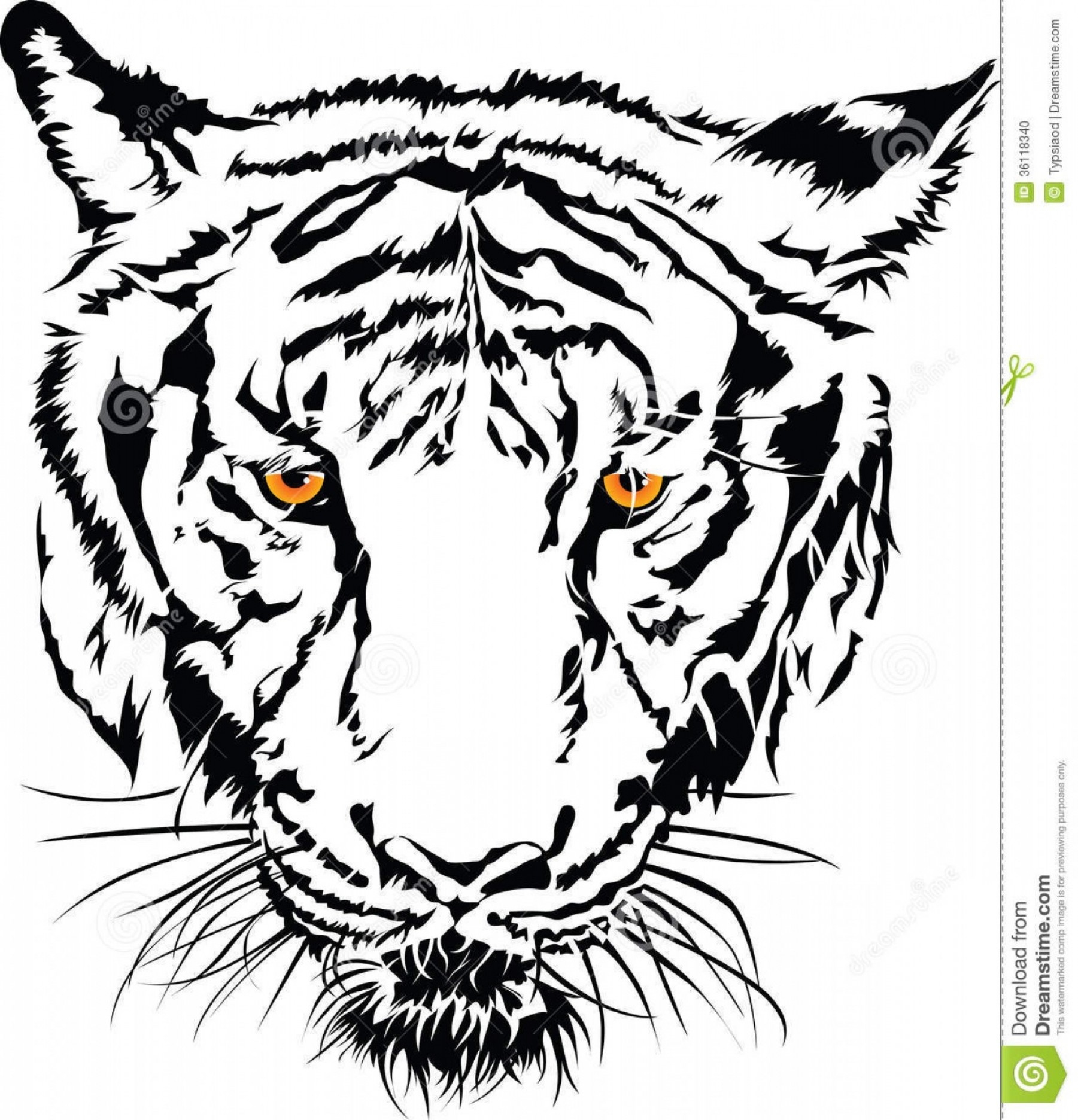 1801x1872 Tiger Eyes Clipart Black And White Cqrecords