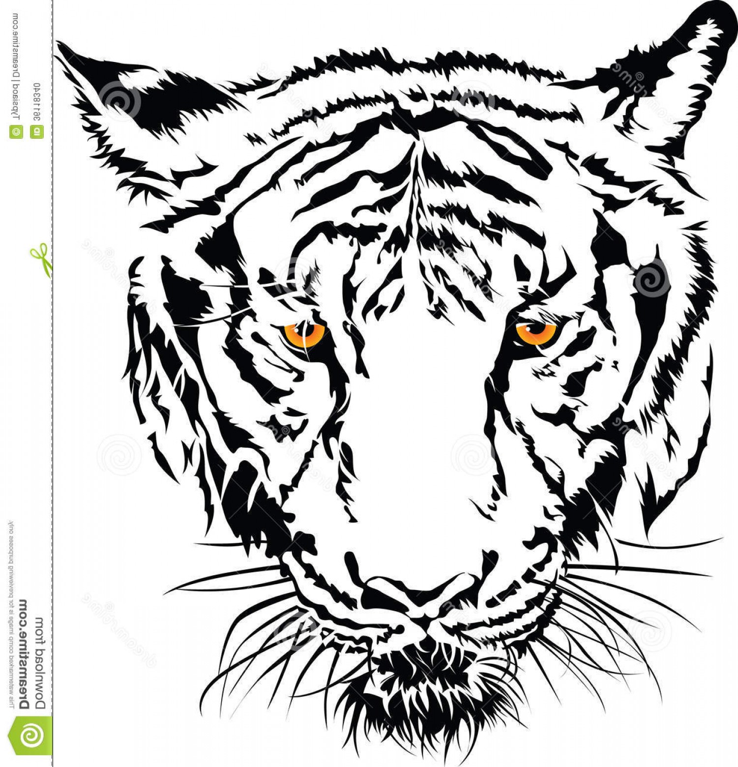 1501x1560 Tiger Eyes Clipart Black And White Soidergi