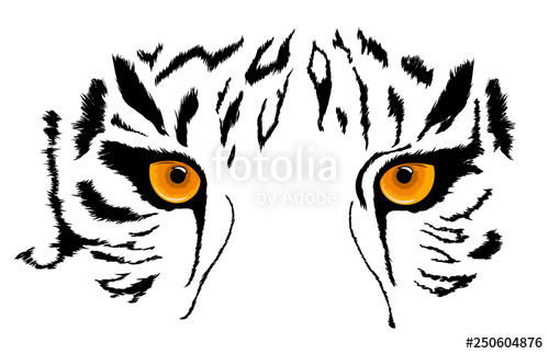 500x323 Tiger Eyes Mascot Vector Illustration Isolated On White