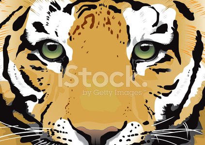 423x300 Tiger Eyes Vector Stock Vectors