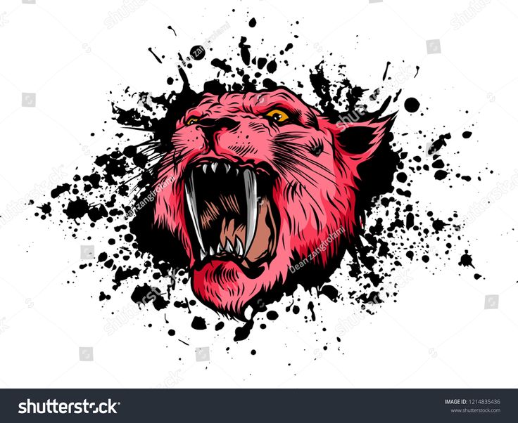 736x602 Vector Eye Vector Illustration Tiger Eyes Mascot Graphic In White