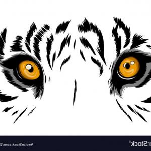 300x300 Vector Teach Icon Cqrecords