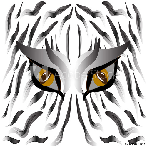 500x500 White Tiger Eyes And Skin